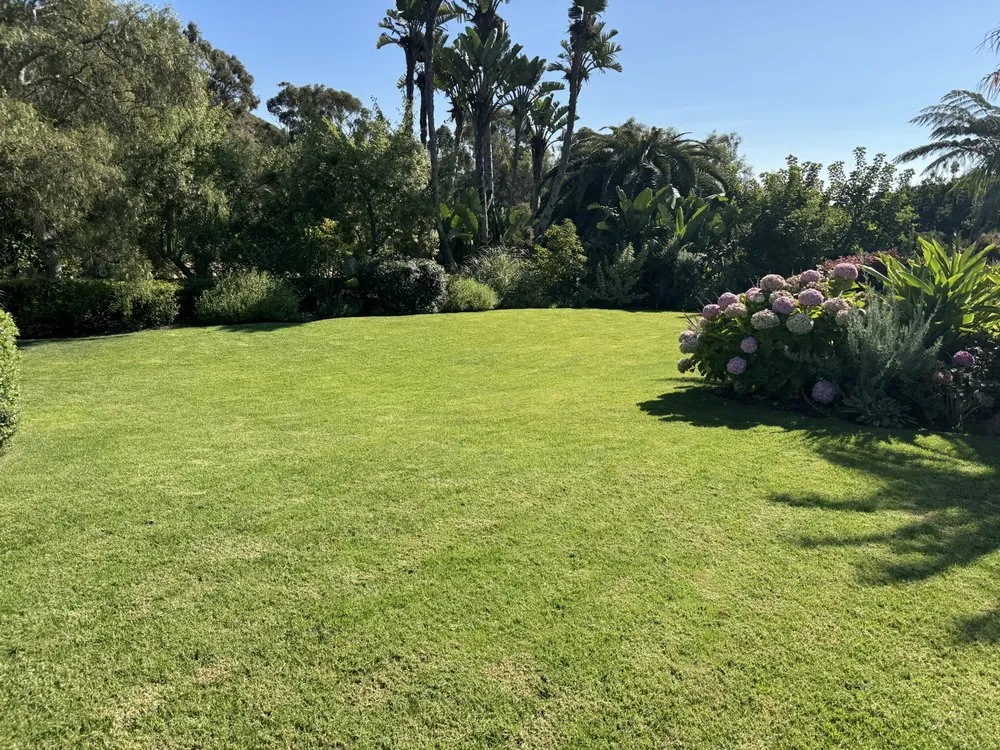 Expert yard maintenance for homes across Denver, NC - Matt's Outdoor Service