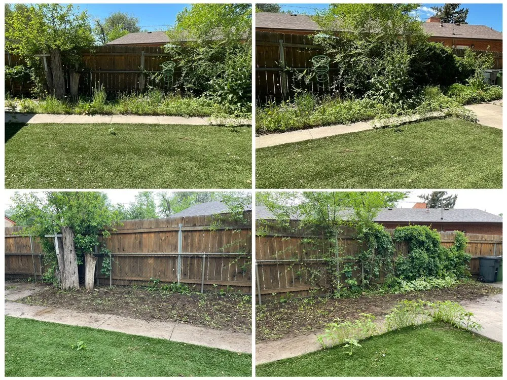 Affordable landscaping services experts serving Denver, NC - Matt's Outdoor Service