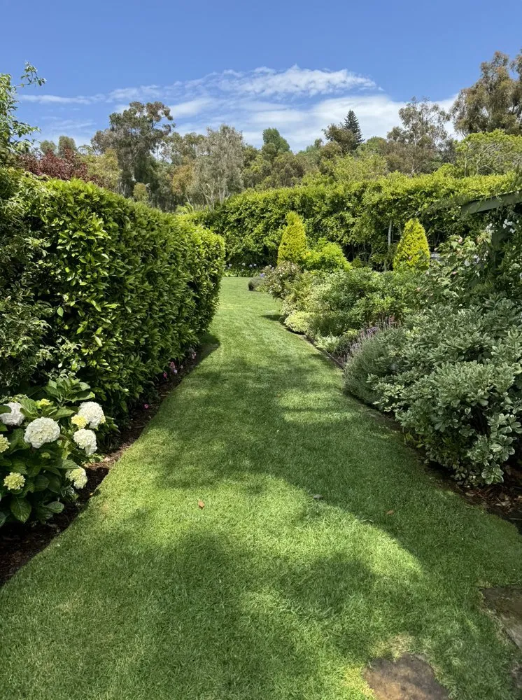 Expert lawn care service for homes across Denver, NC - Matt's Outdoor Service