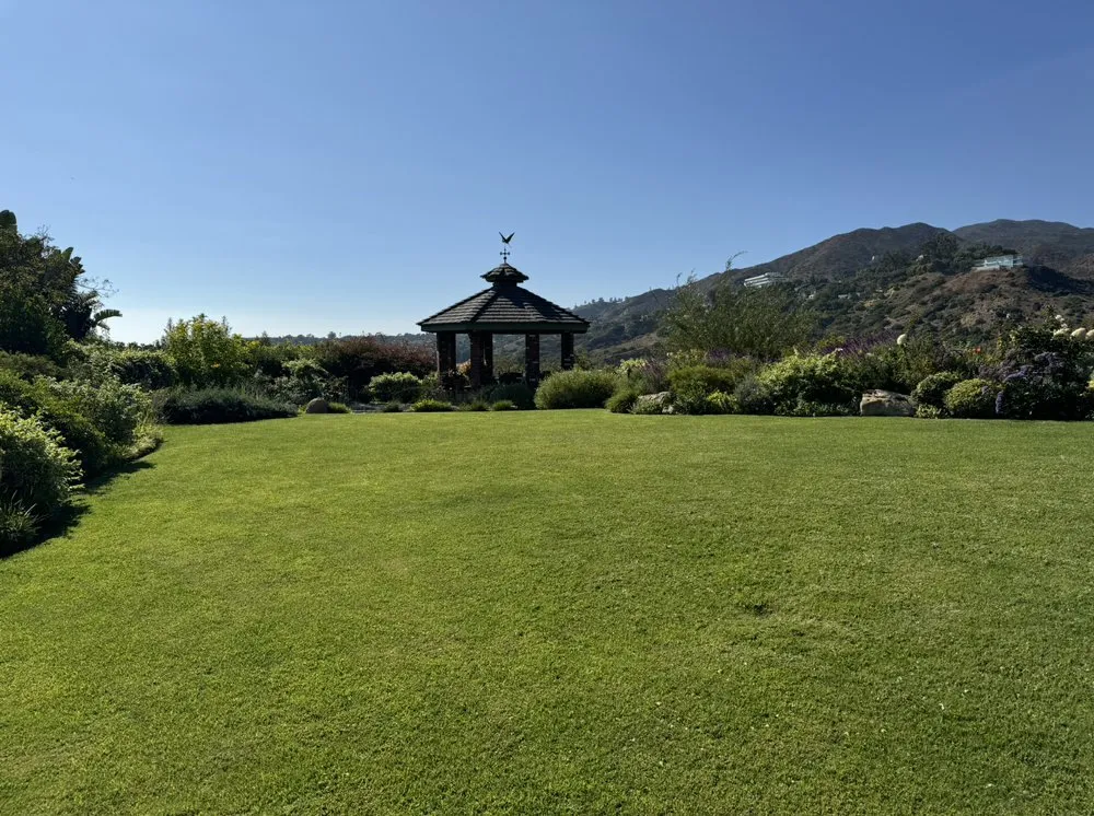 Expert yard maintenance for outdoor upgrades in Denver, NC by Matt's Outdoor Service