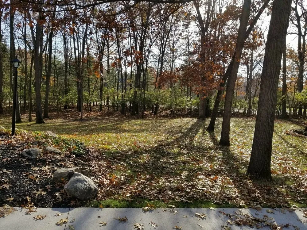 Reliable landscaping services near you in Brighton, MI by Matt's Outdoor services