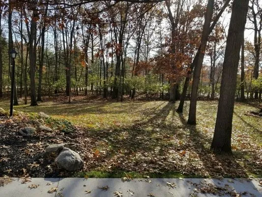 Matt's Outdoor services Logo