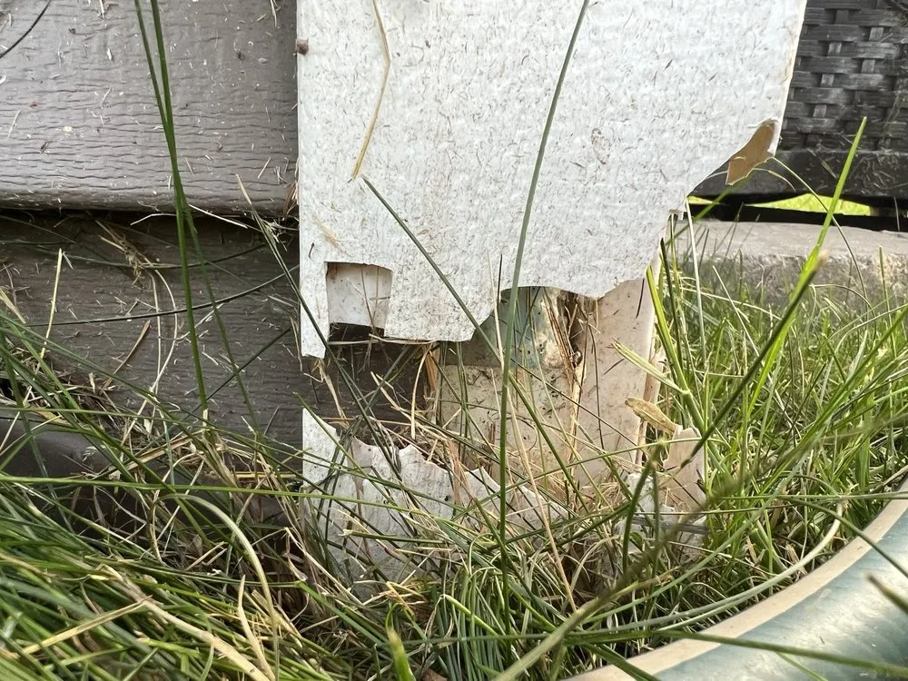 Expert lawn care service in Green Bay, WI - Matt's Plowing and Lawn Care