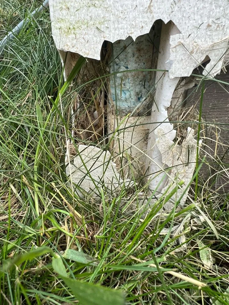 Professional yard maintenance in Green Bay, WI - Matt's Plowing and Lawn Care