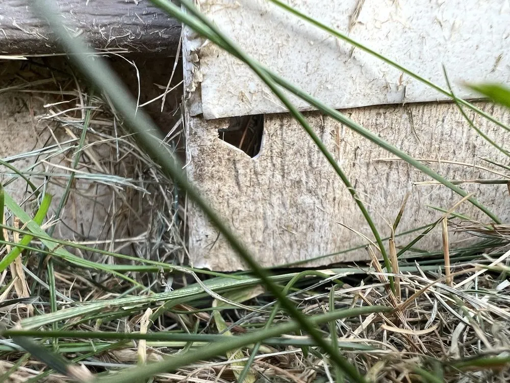 Trusted lawn care service for homes in Green Bay, WI by Matt's Plowing and Lawn Care