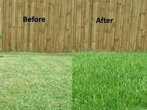 Top-rated lawn mowing service in Green Bay, WI - Matt's Plowing and Lawn Care