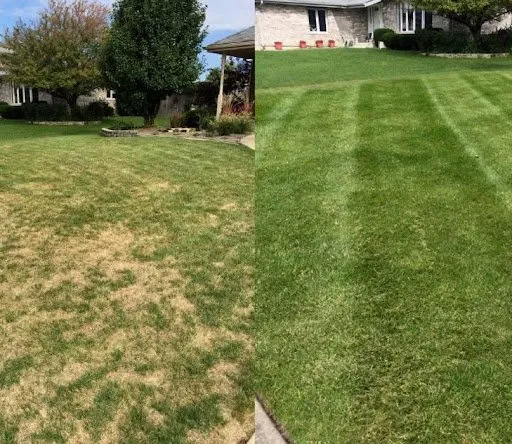 Custom yard maintenance in Green Bay, WI - Matt's Plowing and Lawn Care
