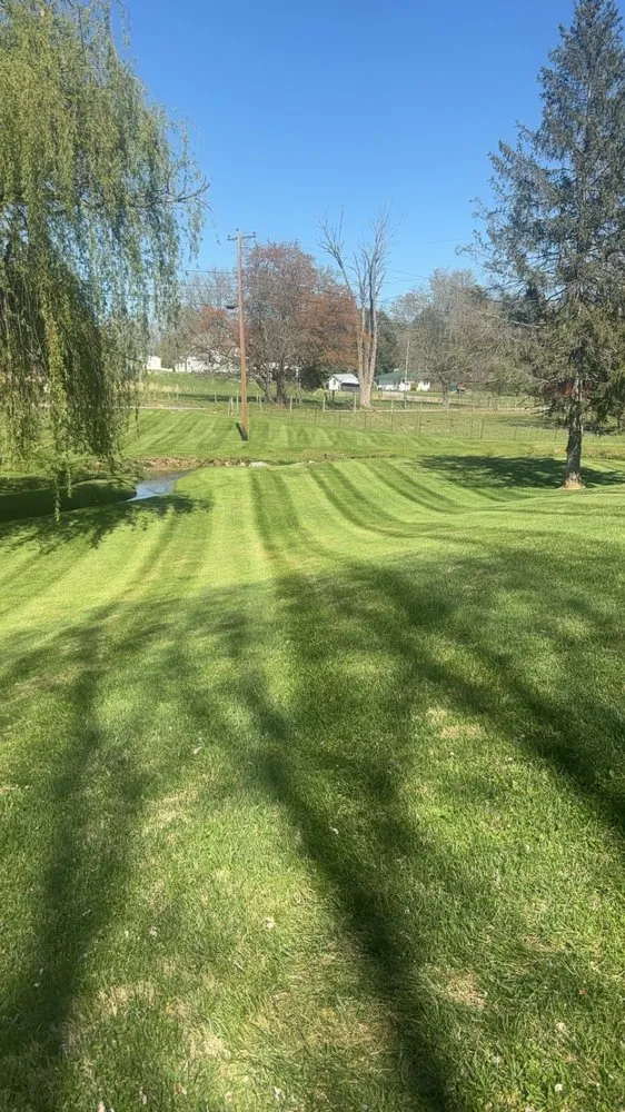 Custom yard maintenance experts serving Bristol, VA - Matts Professional Lawncare
