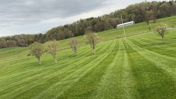 Matts Professional Lawncare Logo