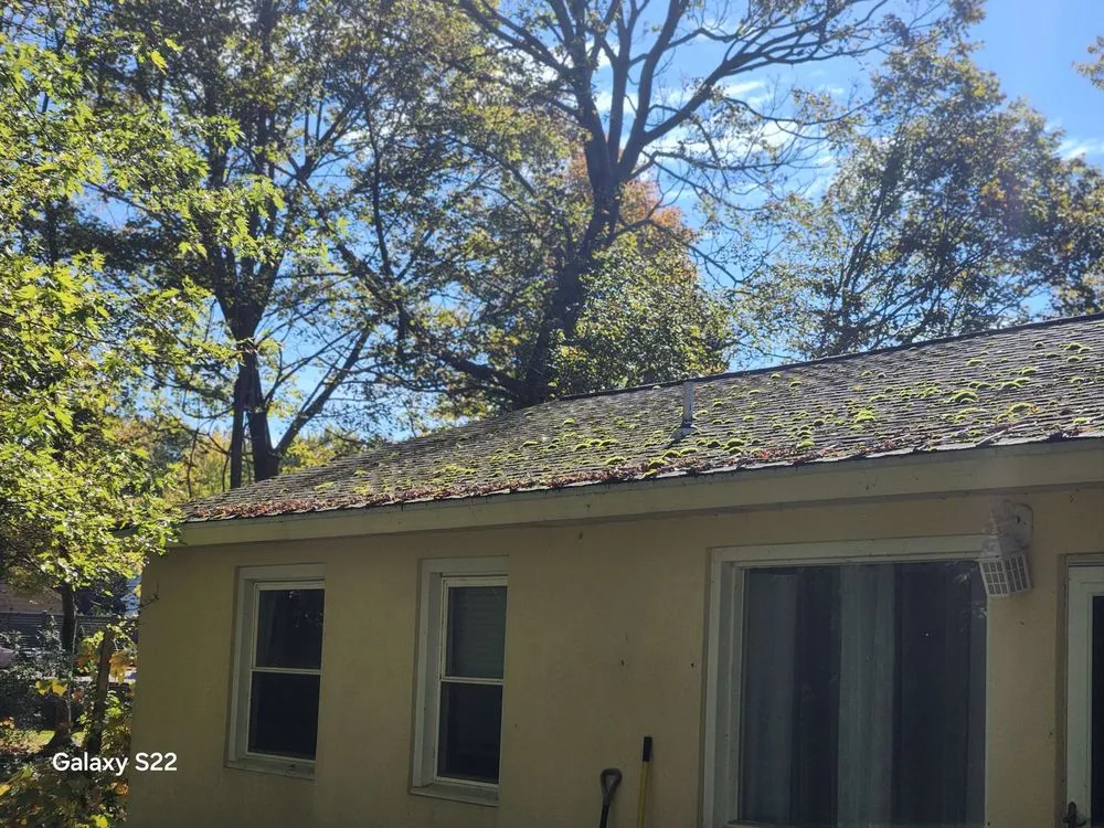 Trusted garden landscaping experts serving Elbridge, NY - Matt's Property Services