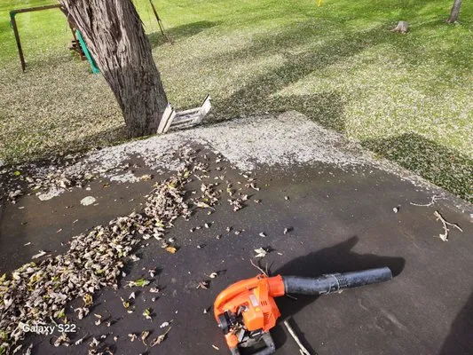 Matt's Property Services