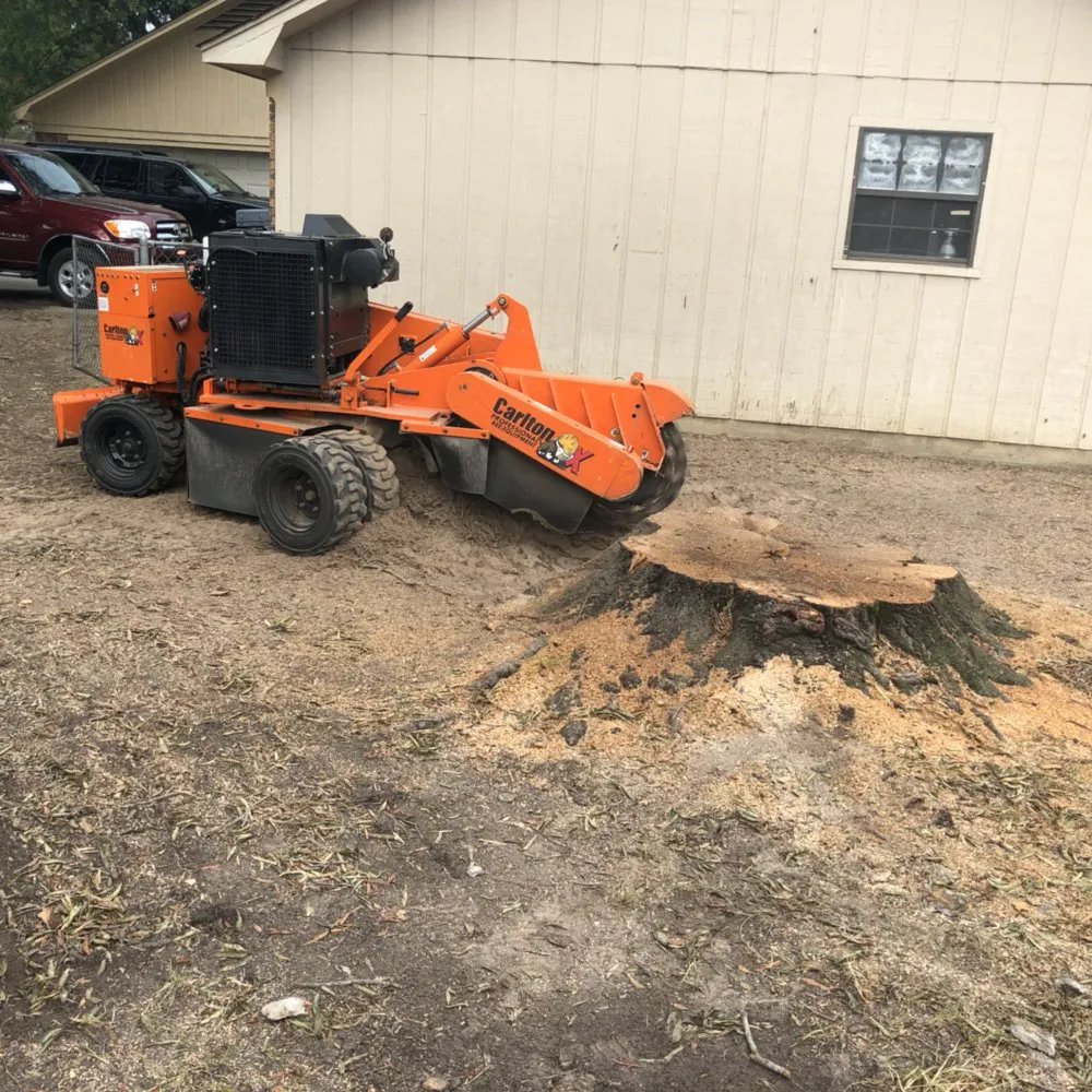 Trusted lawn mowing service with custom design across Texarkana, TX - Matt's Stump Grinding