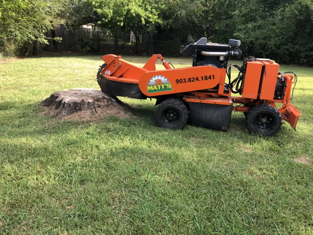 Top-rated lawn care service for homes in Texarkana, TX by Matt's Stump Grinding
