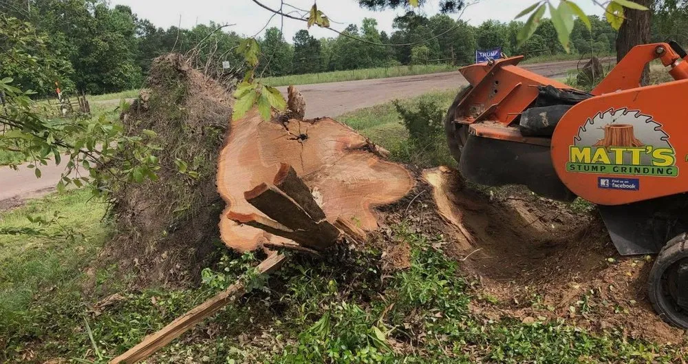 Custom garden landscaping in Texarkana, TX by Matt's Stump Grinding