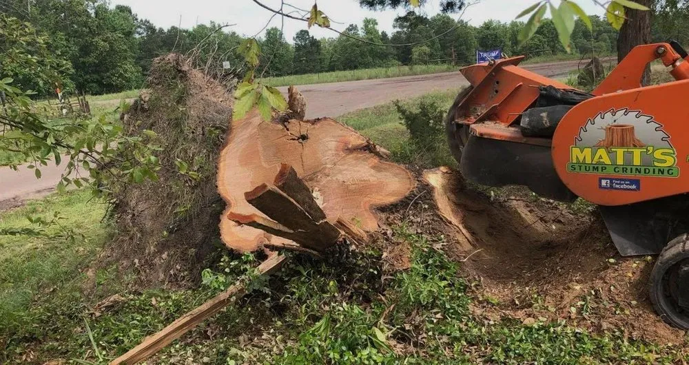 Reliable garden landscaping in Texarkana, TX by Matt's Stump Grinding