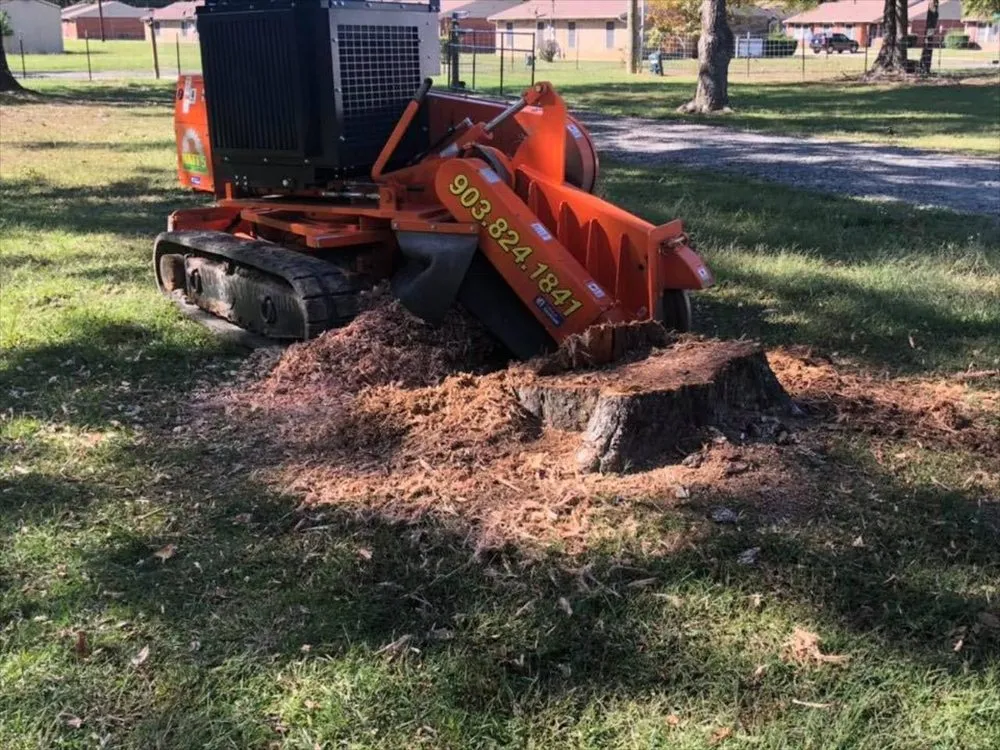 Local landscaping services in Texarkana, TX - Matt's Stump Grinding