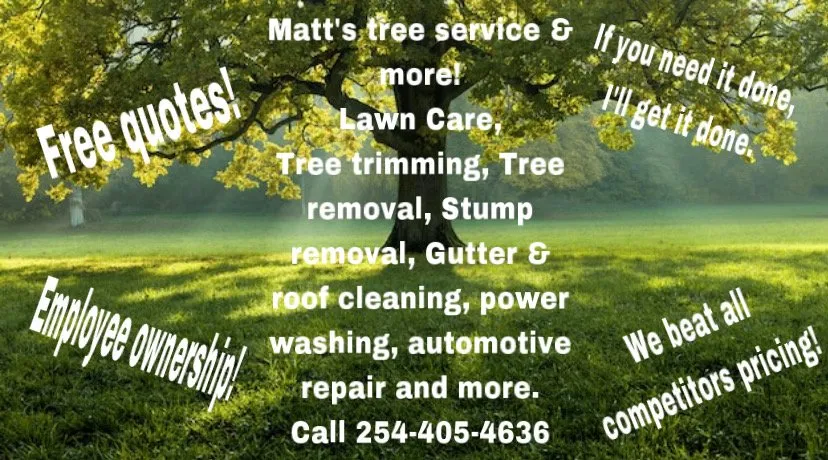 Custom lawn mowing service for year-round maintenance in Waco, TX by Matt’s Tree Service & More