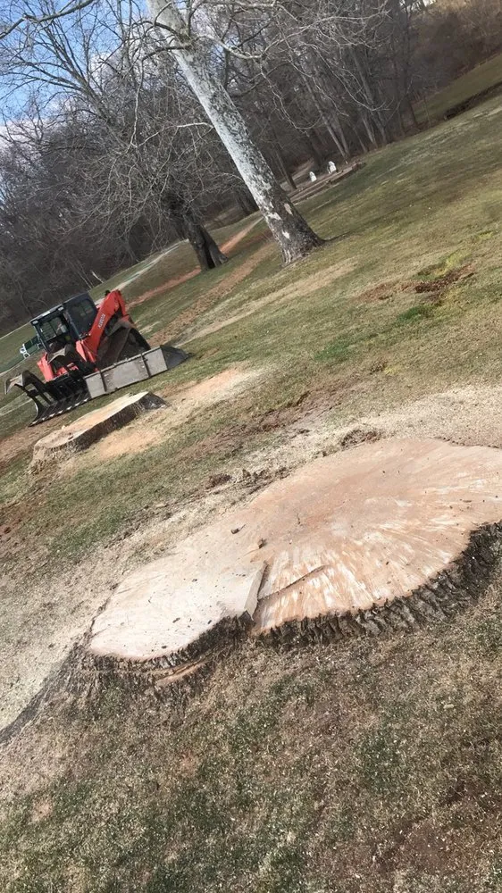 Trusted outdoor landscaping for homes across Amissville, VA - Matt’s Tree Trimming Service