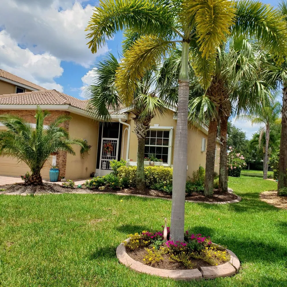 Professional lawn mowing service in Cape Coral, FL - Mattscapes