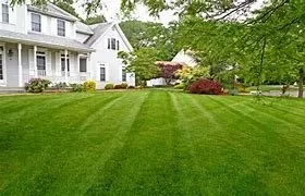 Reliable yard cleanup service in Owosso, MI by Mattson Lawncare