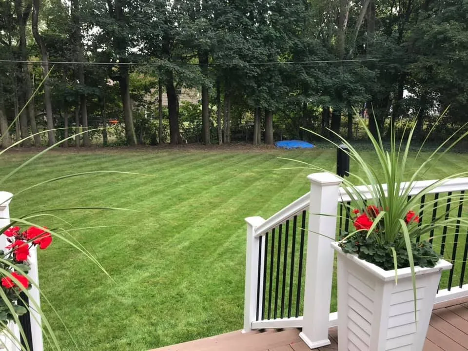 Top-rated lawn mowing service for year-round maintenance across Fairport, NY - Matty Mows