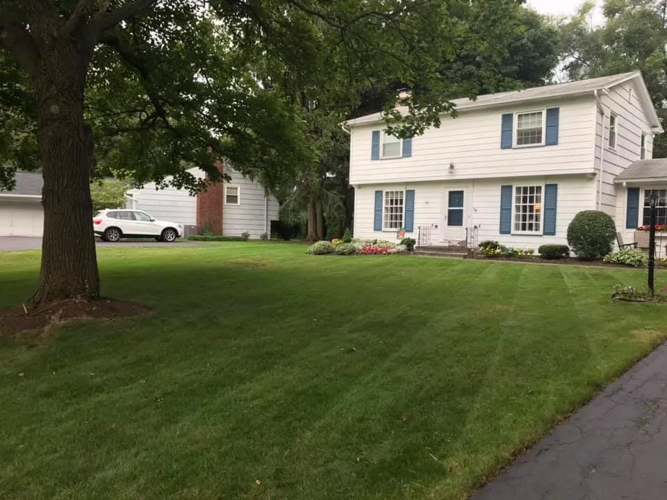 Reliable landscaping services experts serving Fairport, NY - Matty Mows
