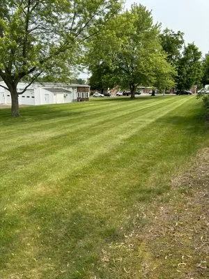 Matty’s Mowing Logo