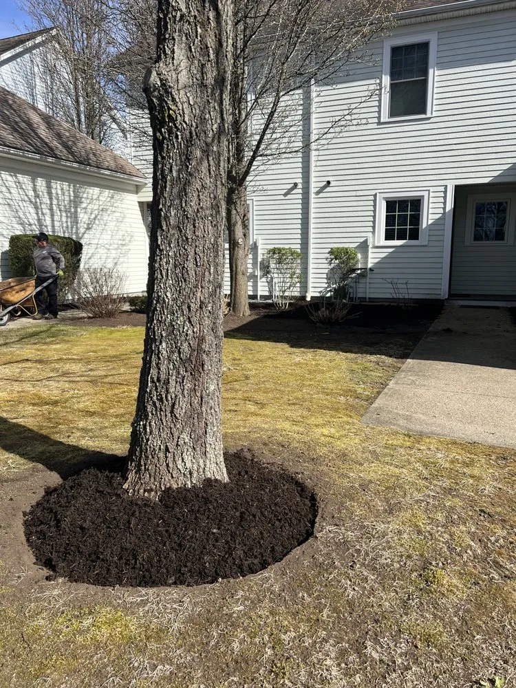 Reliable yard cleanup service in Warwick, RI - Mattzer Landscaping