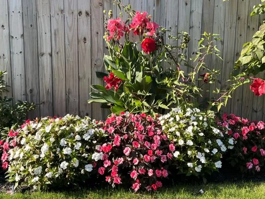 Mattzer Landscaping Logo