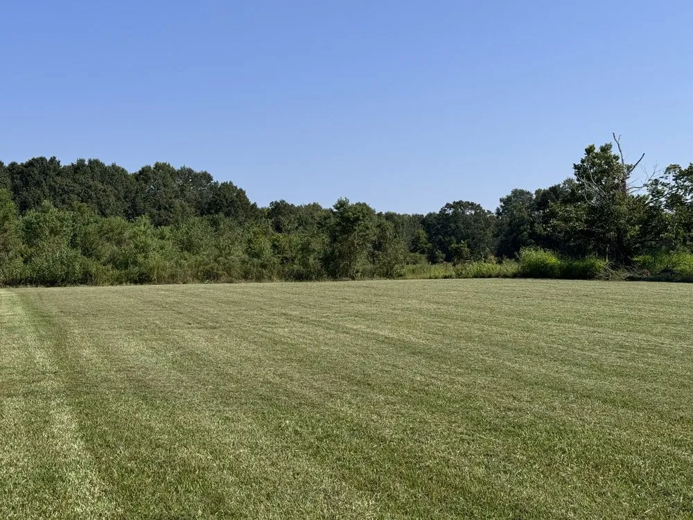 Custom lawn mowing service experts serving Lafayette, LA - Maturin Exterior Solutions