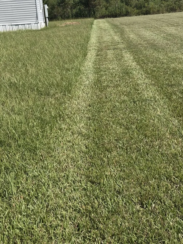 Custom outdoor landscaping for homes in Lafayette, LA by Maturin Exterior Solutions