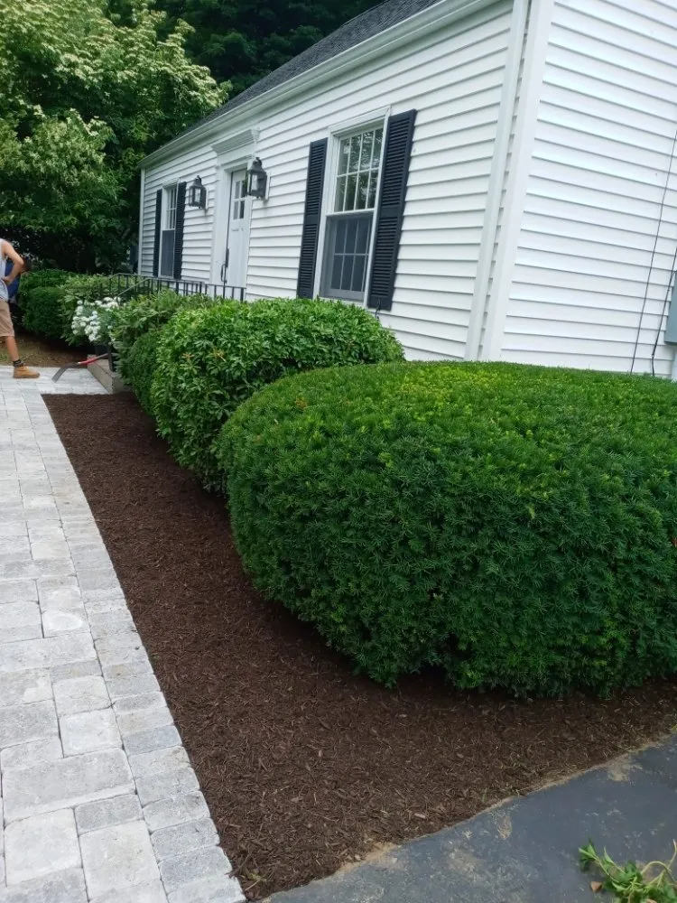 Affordable yard maintenance experts serving Somers, CT - Maturo Lawn & Landscape
