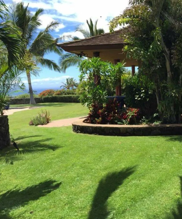 Top-rated residential landscaping with custom design in Lahaina, HI by Maui Green Hands