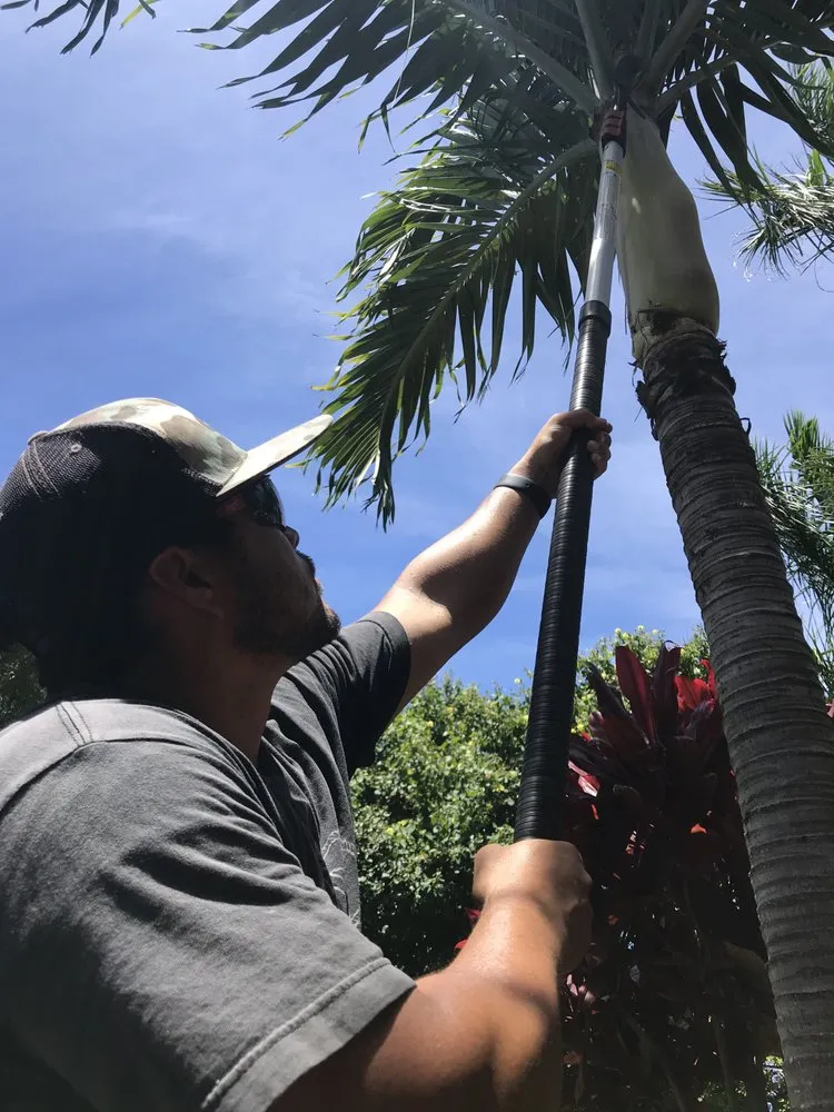 Expert outdoor landscaping in Kahului, HI by Maui Irrigation and Landscaping