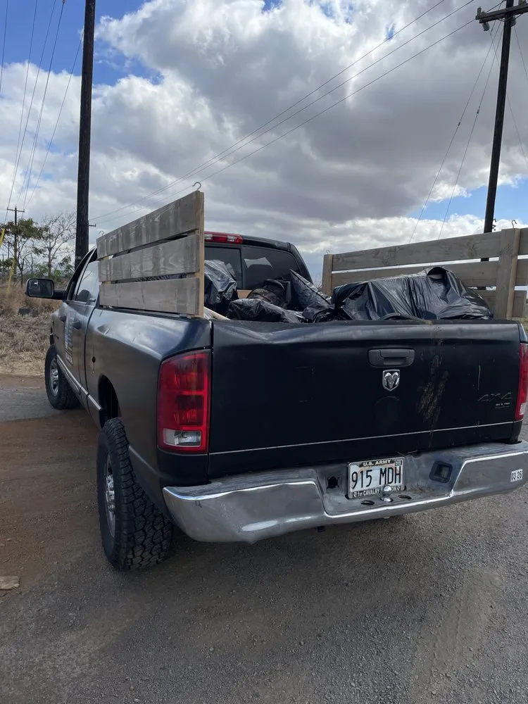 Local yard maintenance experts serving Puunene, HI - Maui Junk and Lawn Solutions