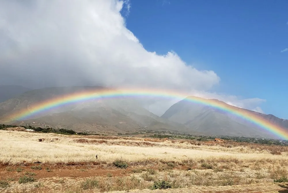 Local garden landscaping in Lahaina, HI - Maui Landscape Services