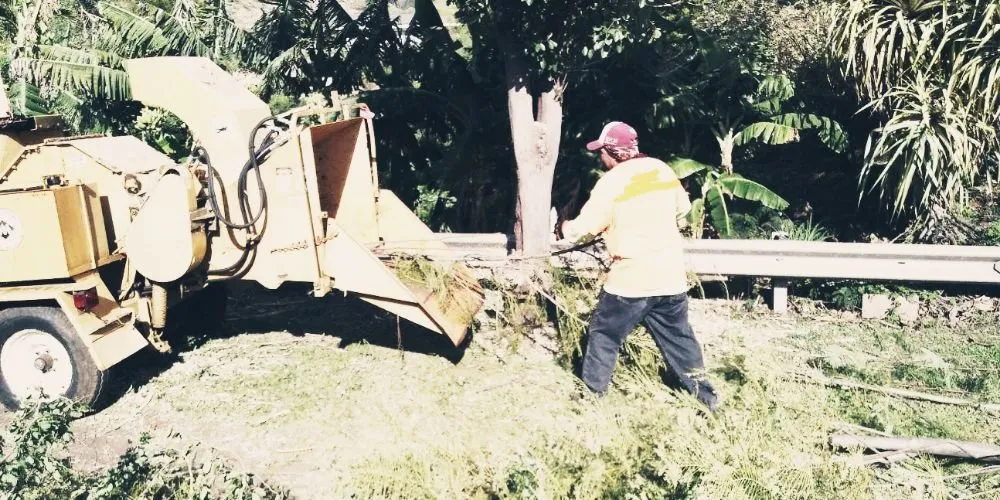 Affordable landscape installation experts serving Lahaina, HI - Maui Landscape Services