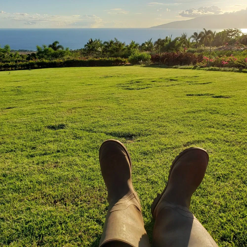 Affordable lawn care service in Lahaina, HI - Maui Landscape Services