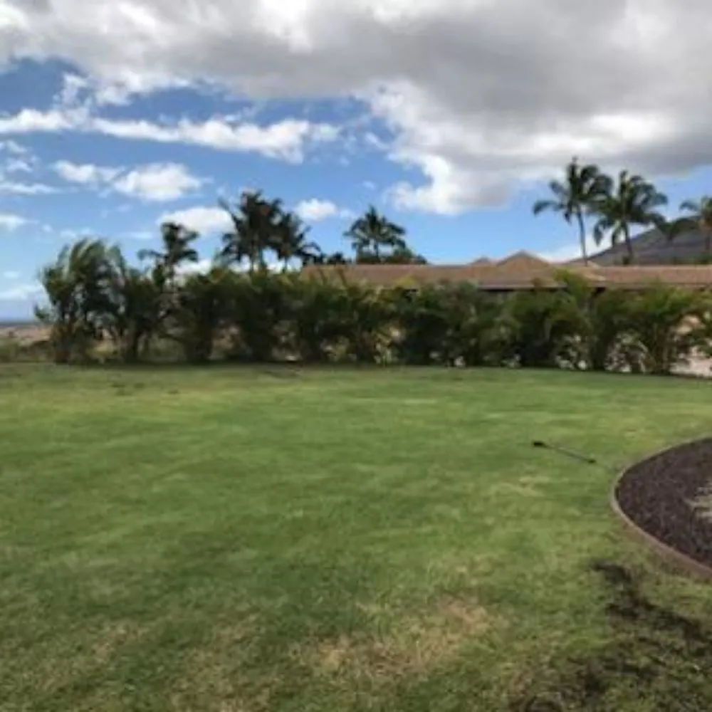 Custom lawn care service for homes in Lahaina, HI by Maui Landscape Services