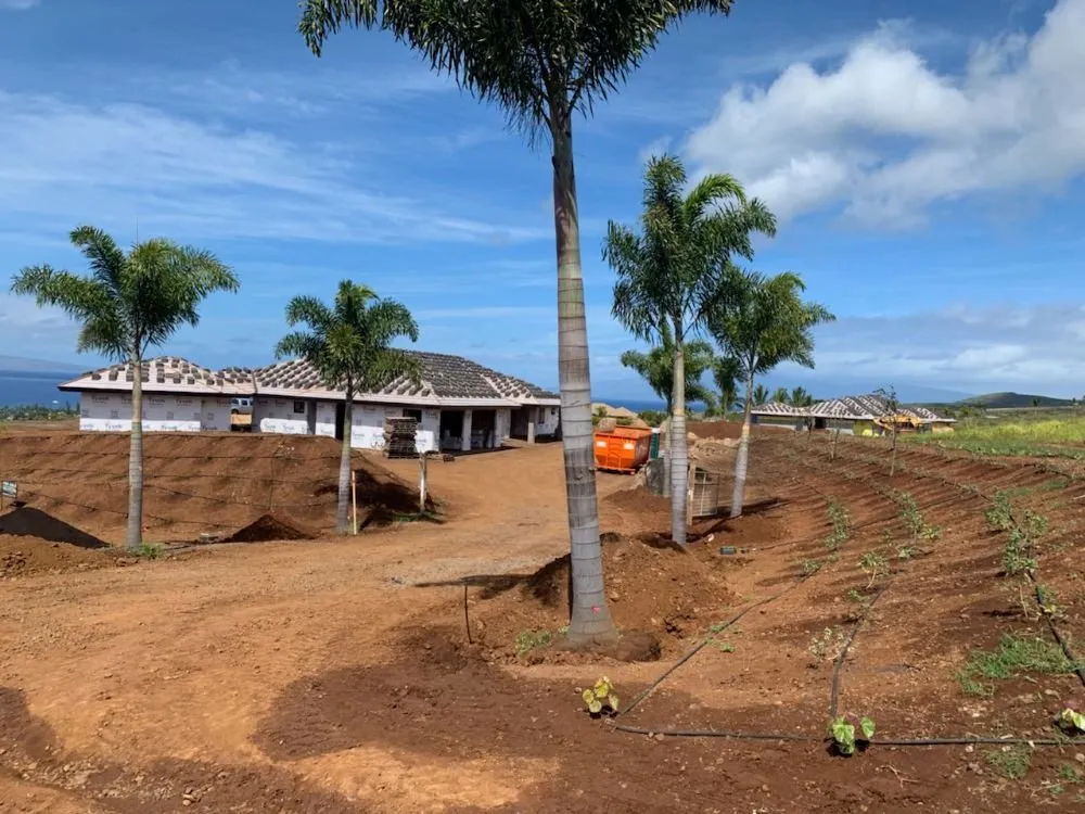 Reliable outdoor landscaping in Lahaina, HI by Maui Landscape Services