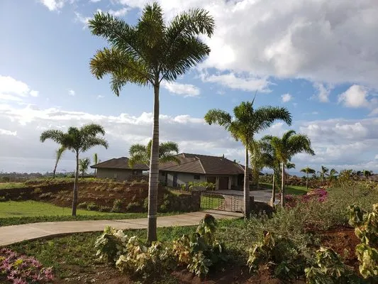 Maui Landscape Services