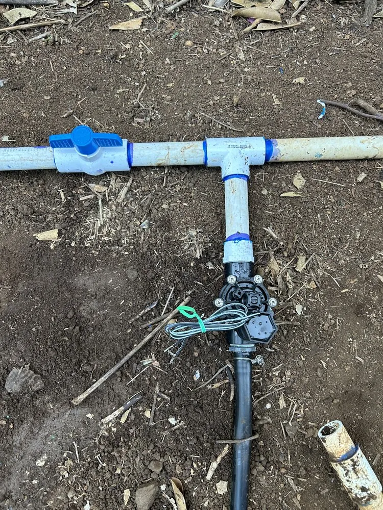 Top-rated garden landscaping experts serving Kihei, HI - Maui Landscaping & Company