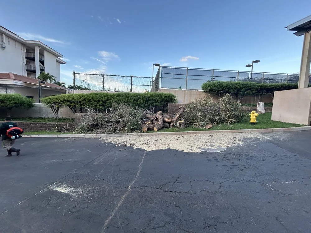 Affordable garden landscaping experts serving Kihei, HI - Maui Landscaping & Company