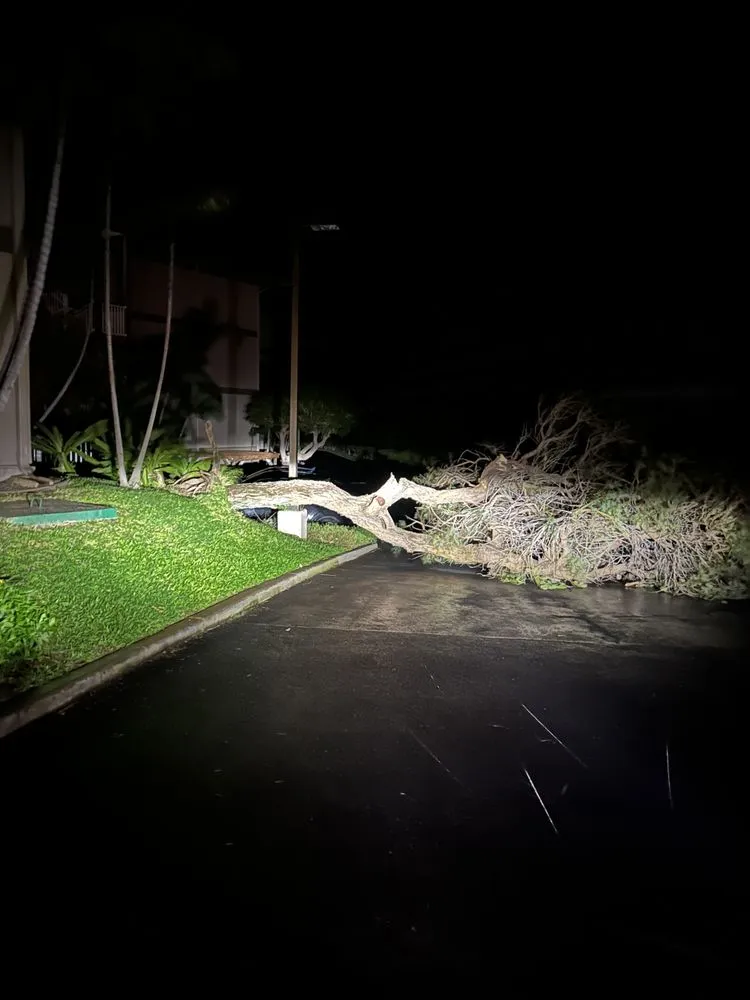 Reliable garden landscaping experts serving Kihei, HI - Maui Landscaping & Company