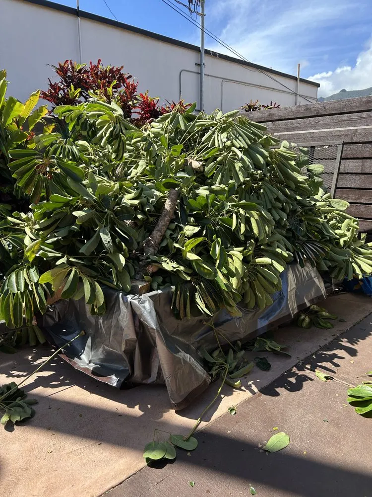 Affordable outdoor landscaping experts serving Kihei, HI - Maui Landscaping & Company