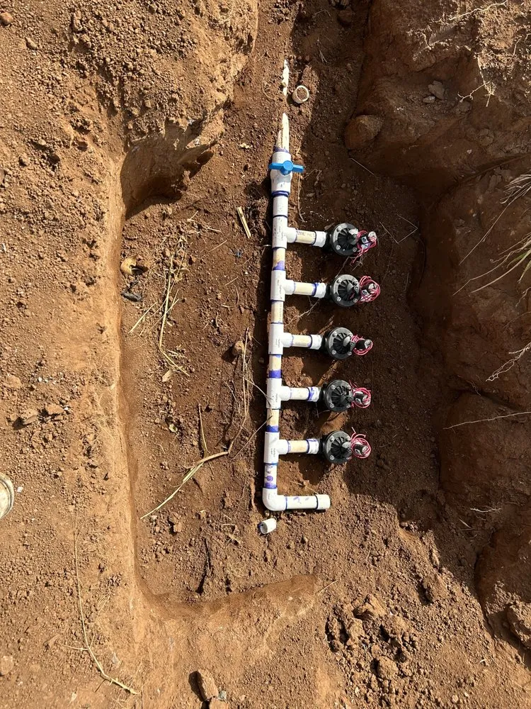 Top-rated landscape design in Kihei, HI by Maui Landscaping & Company