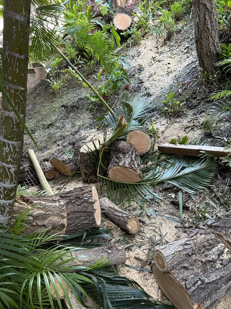 Reliable yard maintenance in Kihei, HI - Maui Landscaping & Company