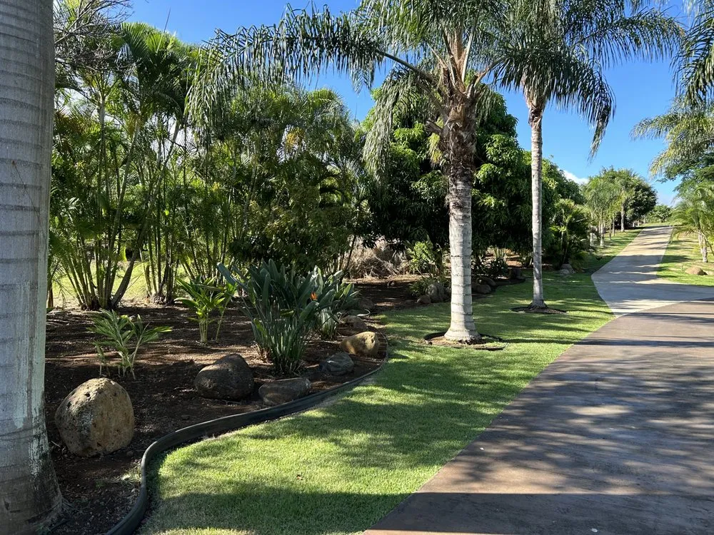 Trusted yard maintenance experts serving Kihei, HI - Maui Landscaping & Company