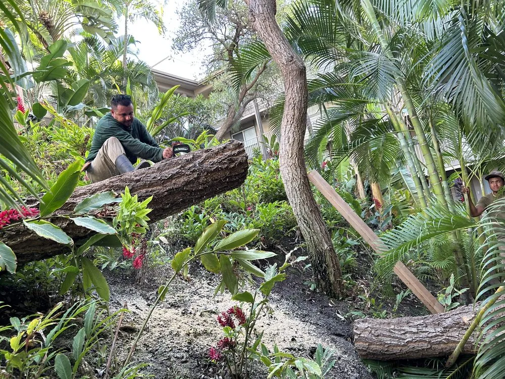 Custom garden landscaping for residential properties across Kihei, HI - Maui Landscaping & Company