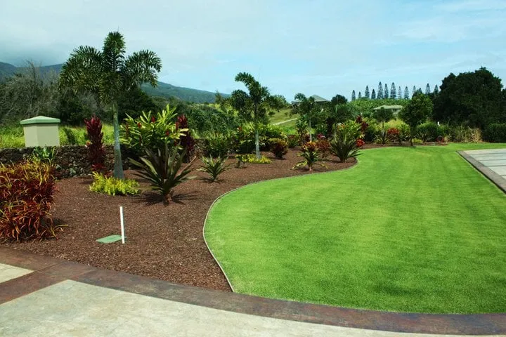 Professional landscape installation near you in Kahului, HI by Maui Lawn And Landscape
